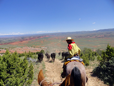 USA-Wyoming-Big Horn Basin Rides in Wyoming